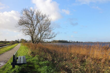 Langweerderwielen Langwarder Wielen 06