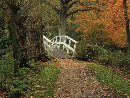 Park Heremastate. Brug Over Vijver